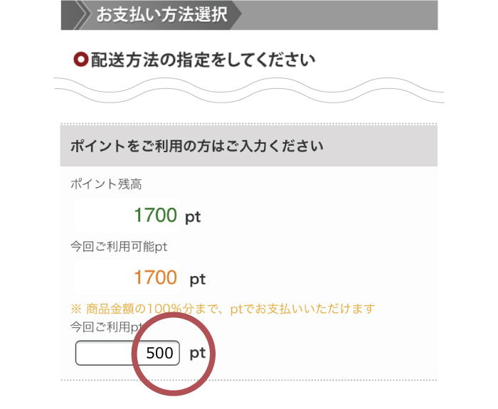 製品を注文カートに入れた後に表示される＜お支払い方法の選択画面＞にて、ご利用のポイント数をご入力ください